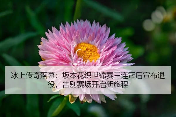 冰上传奇落幕：坂本花织世锦赛三连冠后宣布退役，告别赛场开启新旅程